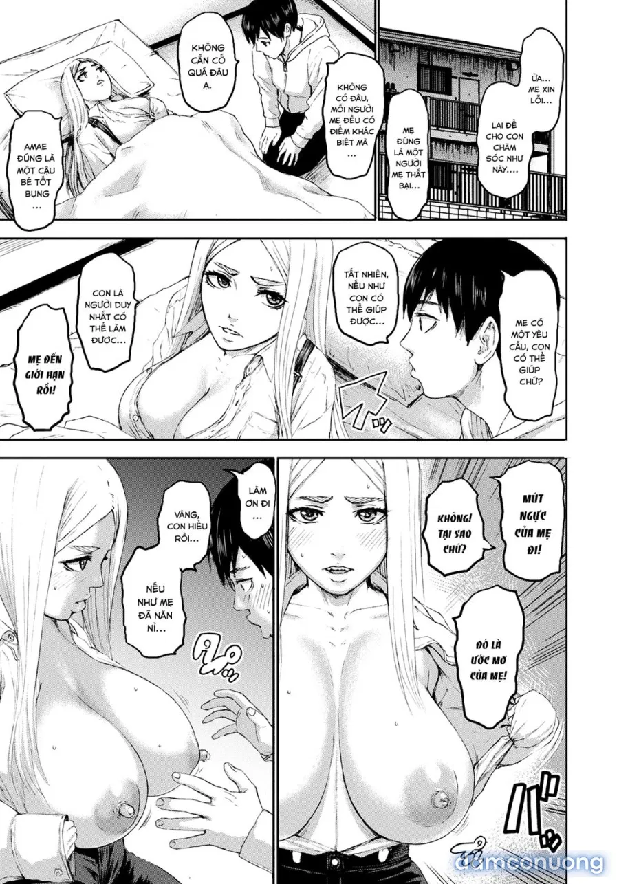 Seven Mothers 