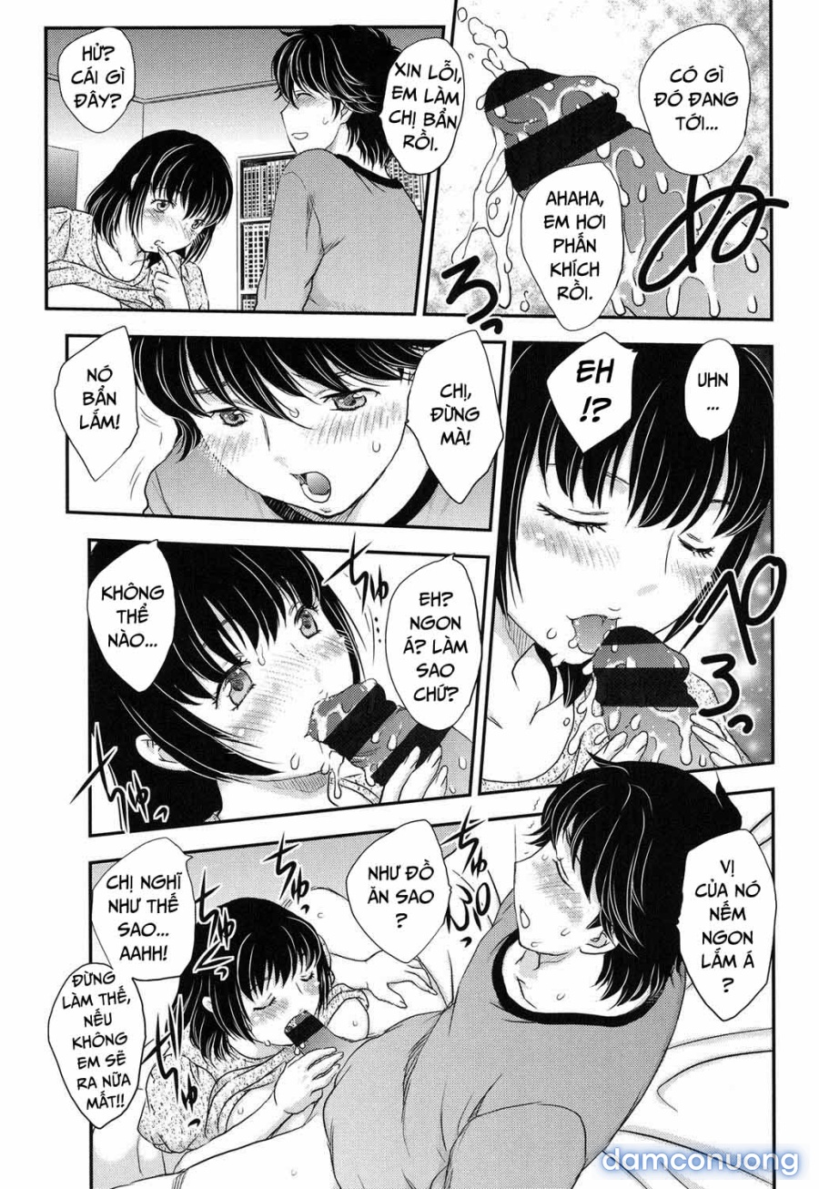 Sister Taste 