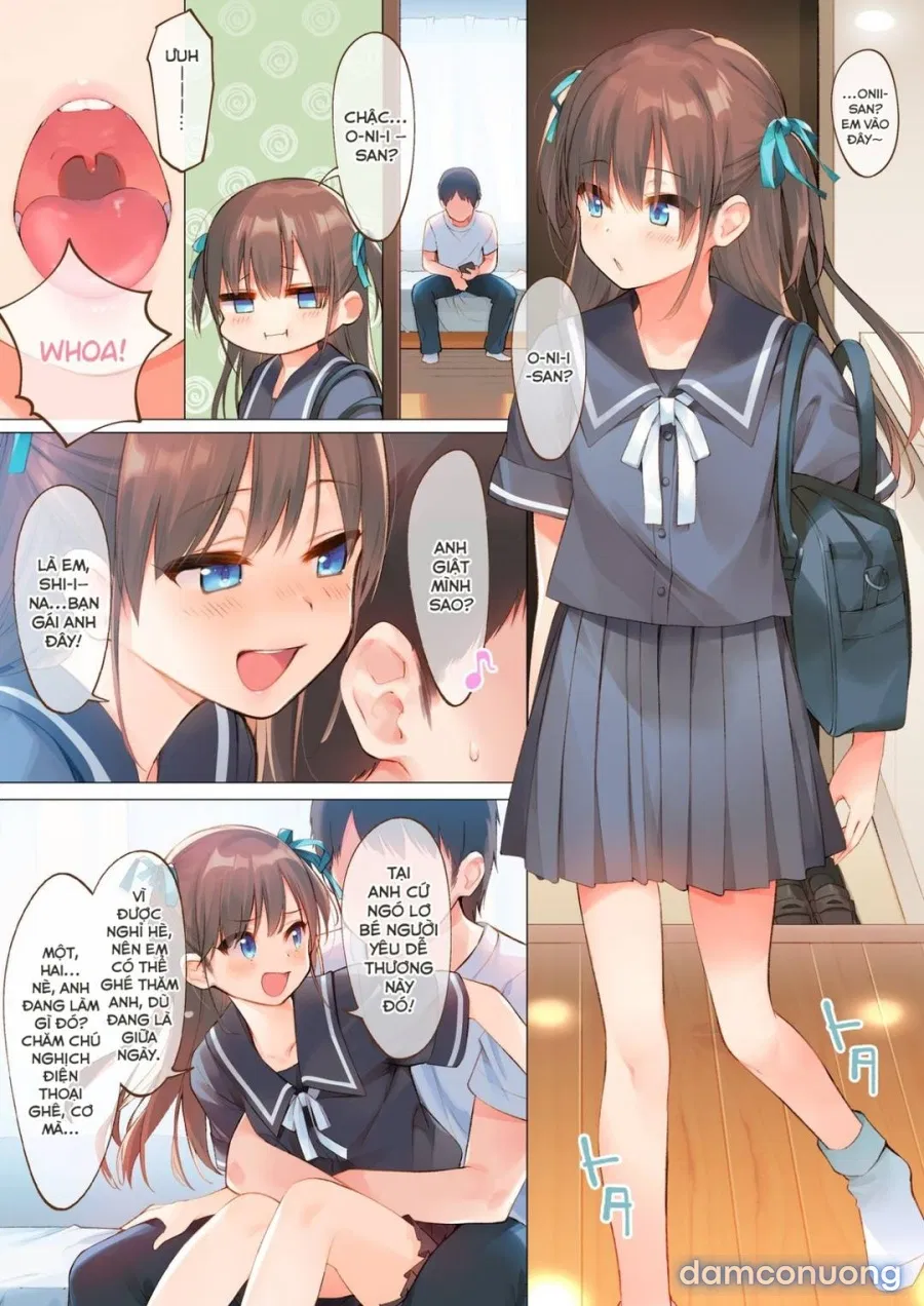 Shiina to Ippai Natsuyasumi ~Amakute Torotoro na, Tanetsuke Ecchi~ 