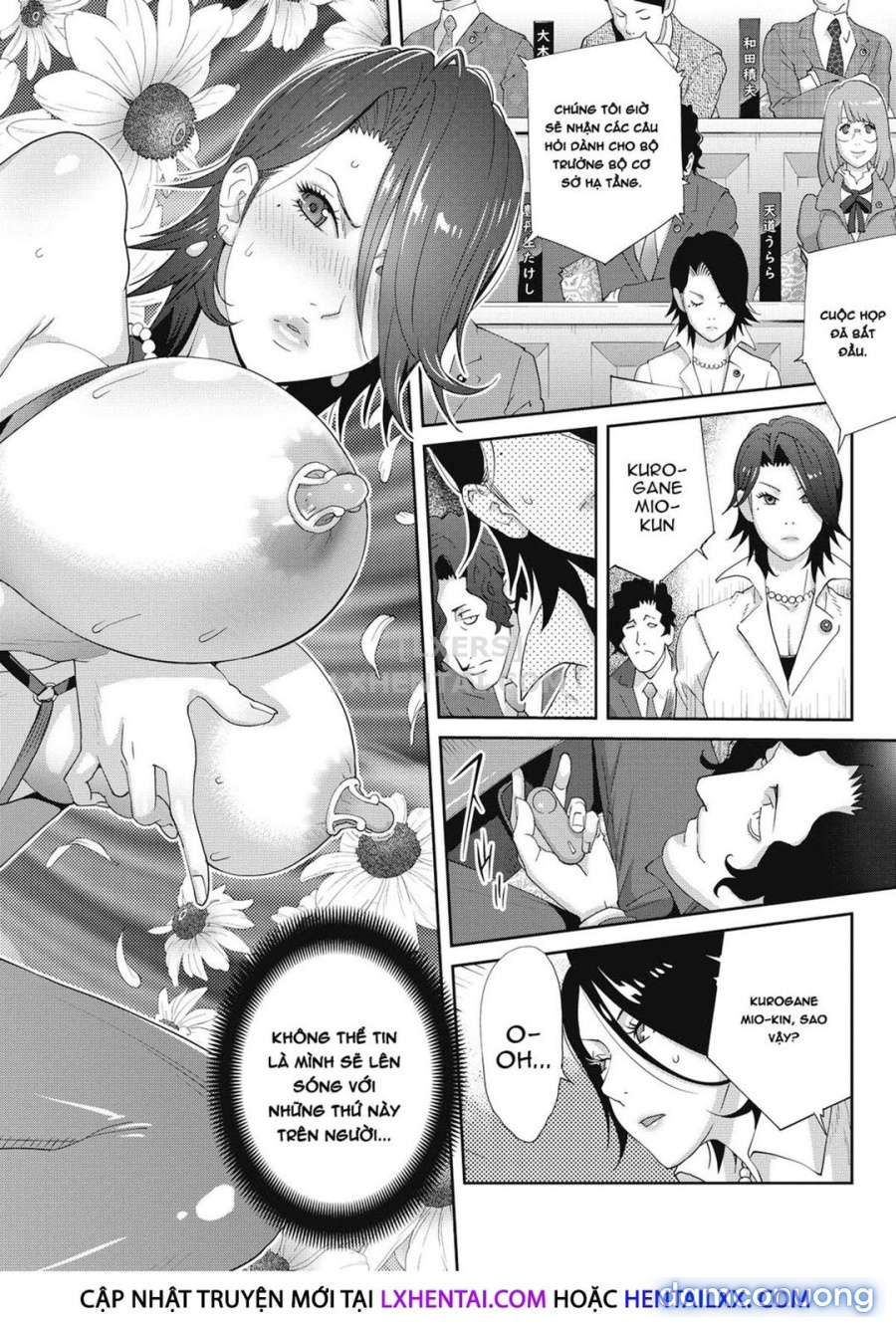 Nyuugyaku no Rudbeckia 