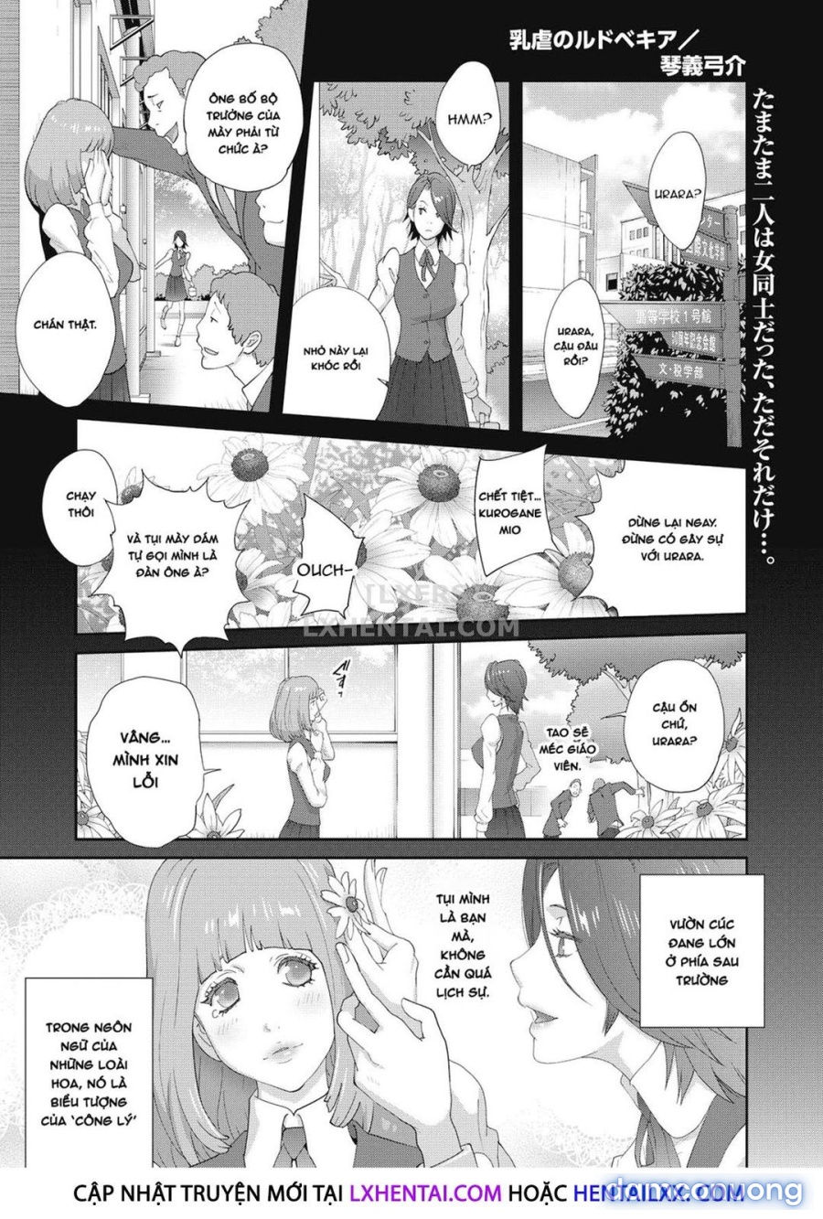 Nyuugyaku no Rudbeckia 