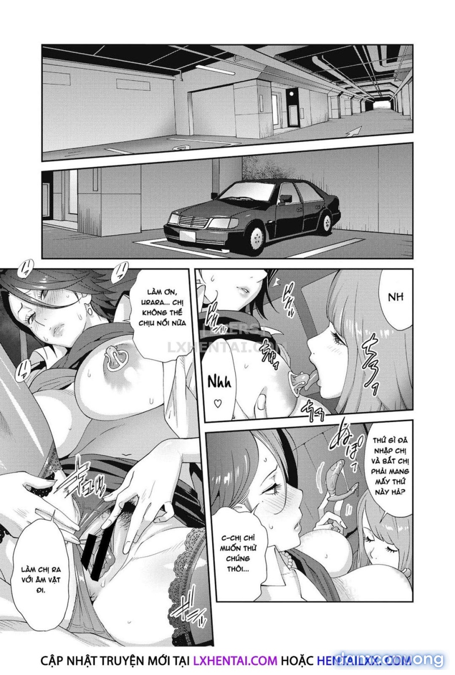 Nyuugyaku no Rudbeckia 