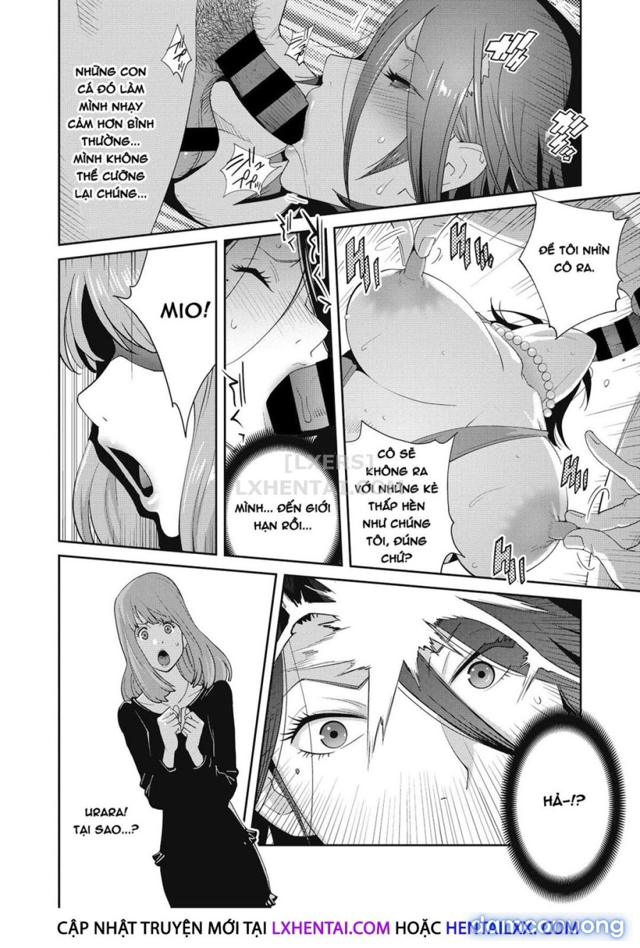 Nyuugyaku no Rudbeckia 
