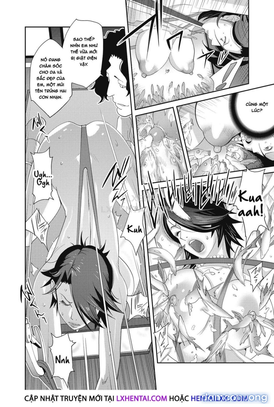 Nyuugyaku no Rudbeckia 