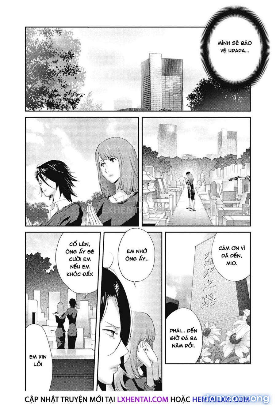 Nyuugyaku no Rudbeckia 
