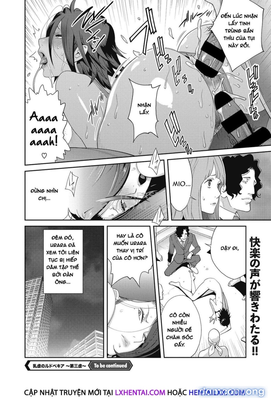 Nyuugyaku no Rudbeckia 