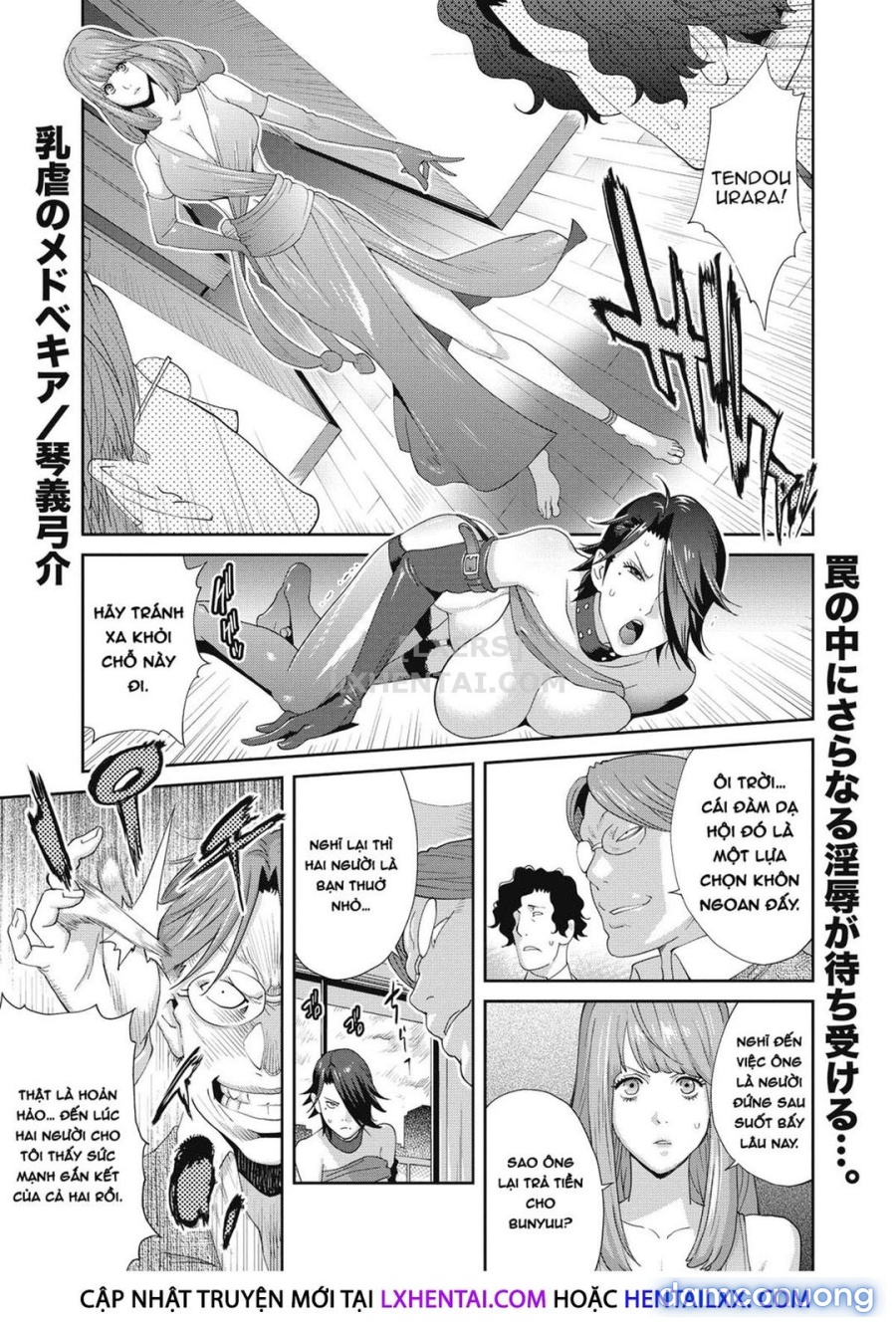 Nyuugyaku no Rudbeckia 