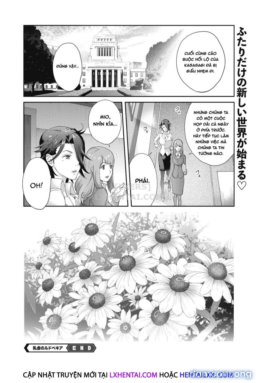 Nyuugyaku no Rudbeckia 