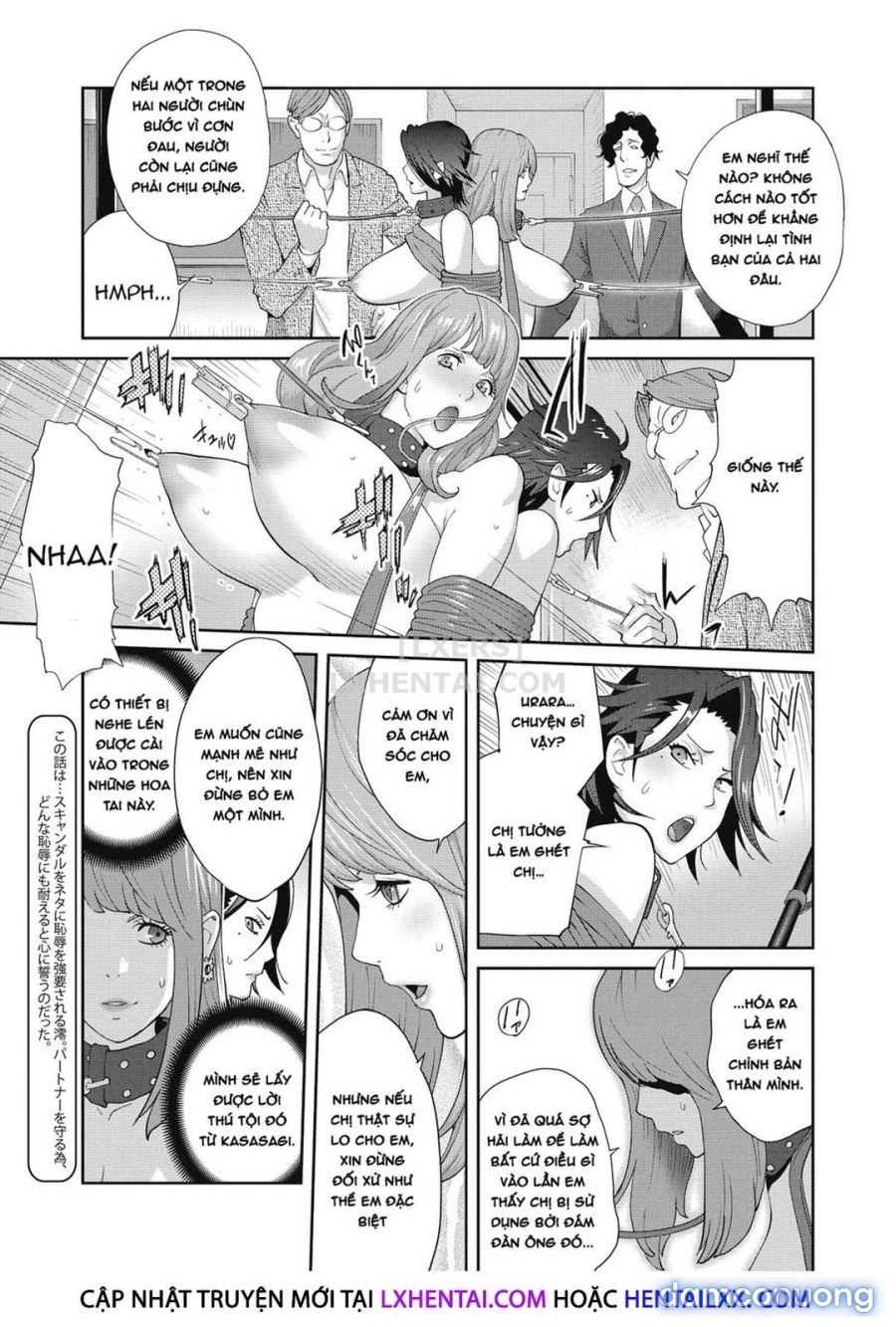 Nyuugyaku no Rudbeckia 