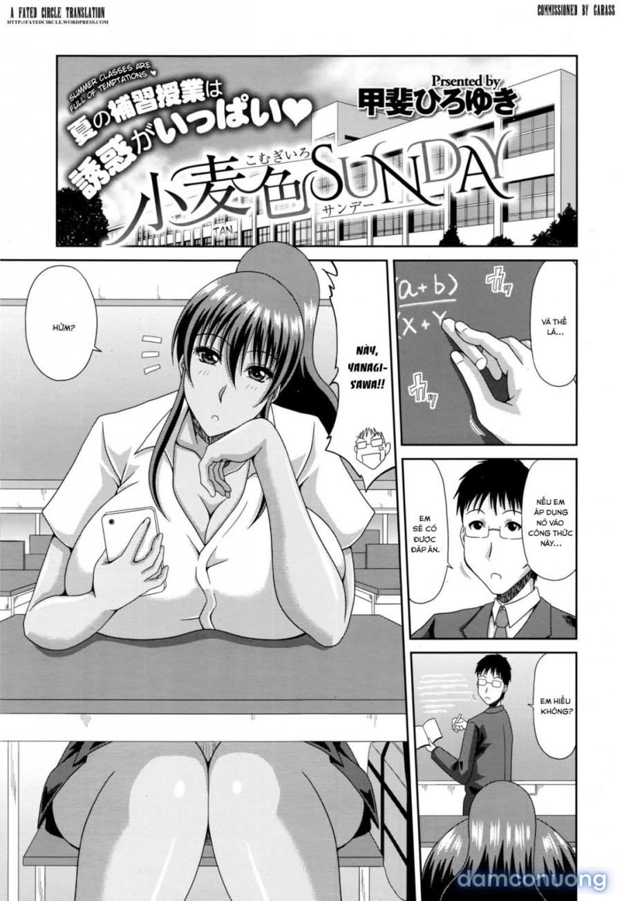 Komugiiro Sunday 