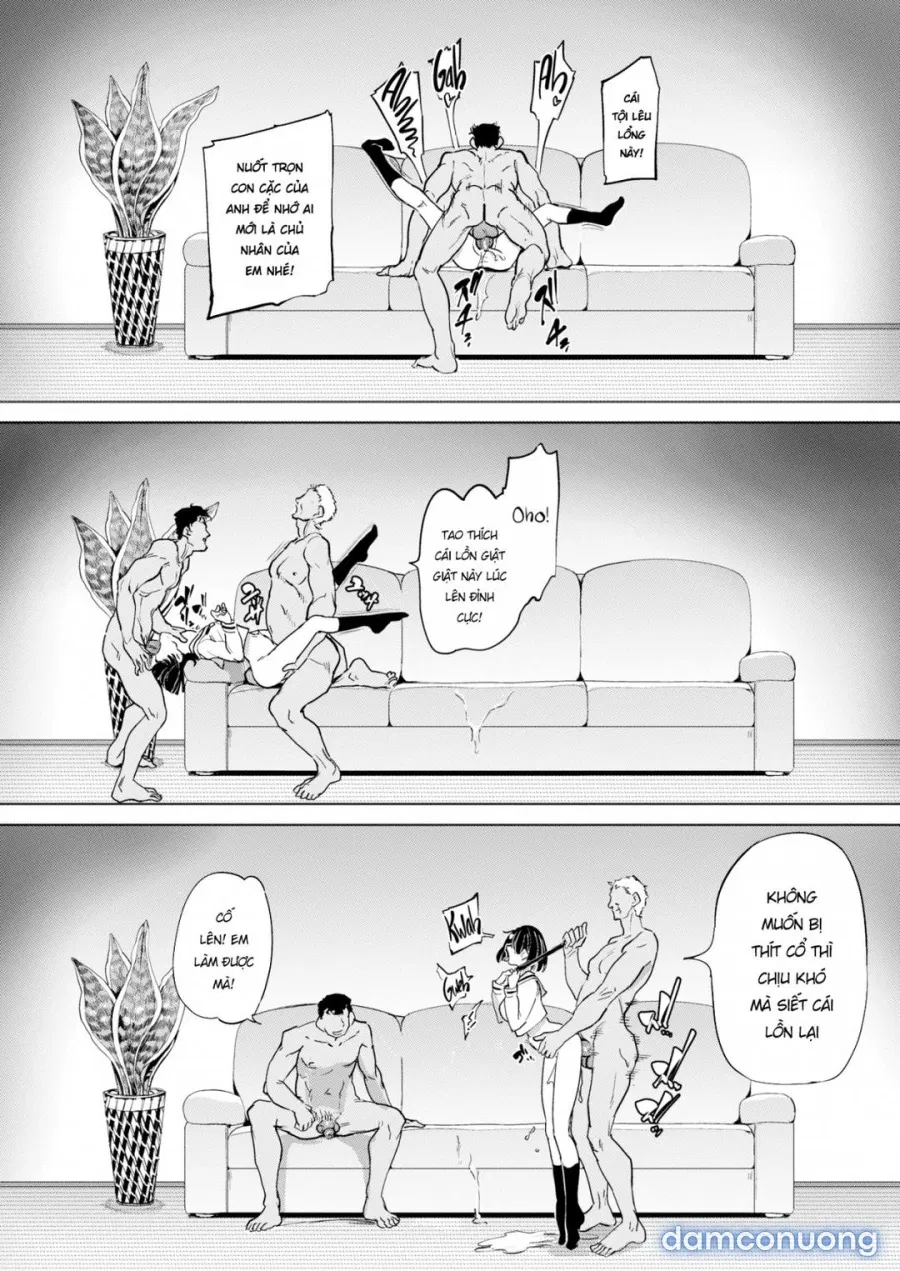 Nữ thú cưng 