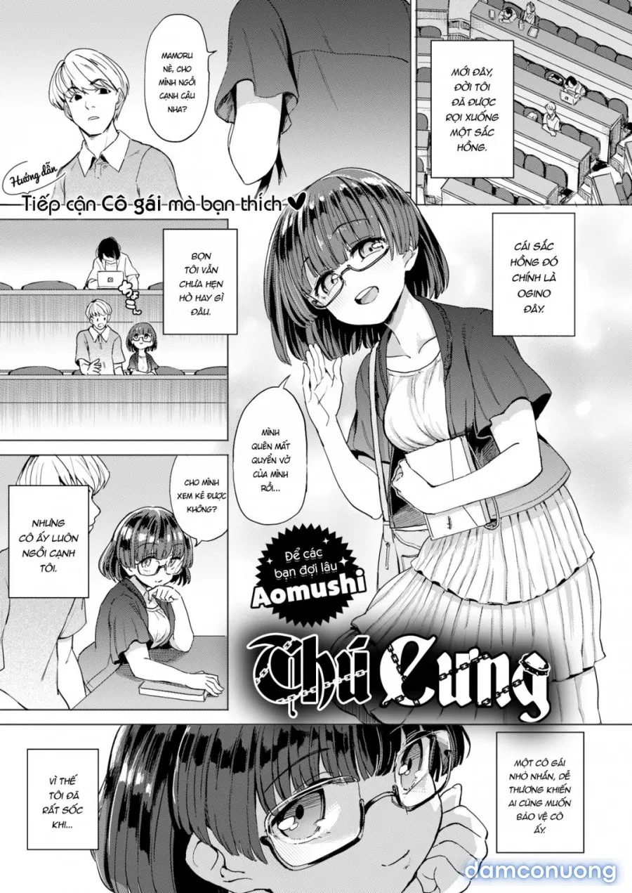 Nữ thú cưng 