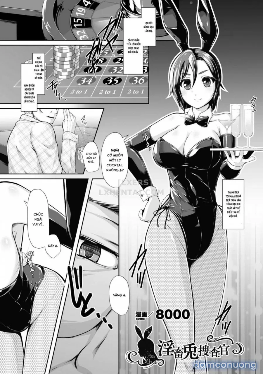 Bunny Girl 