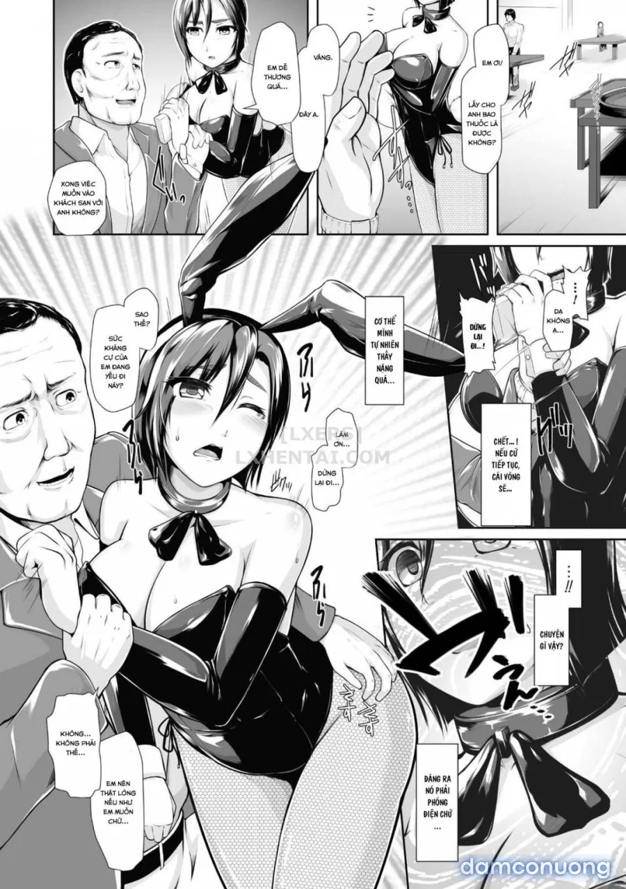 Bunny Girl 