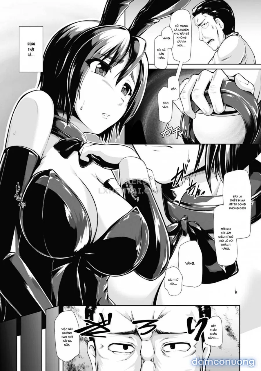 Bunny Girl 