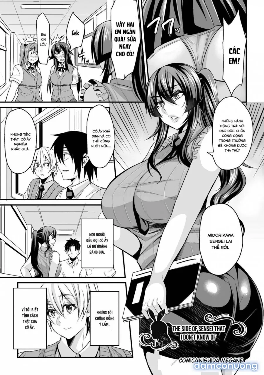 Bunny Girl 