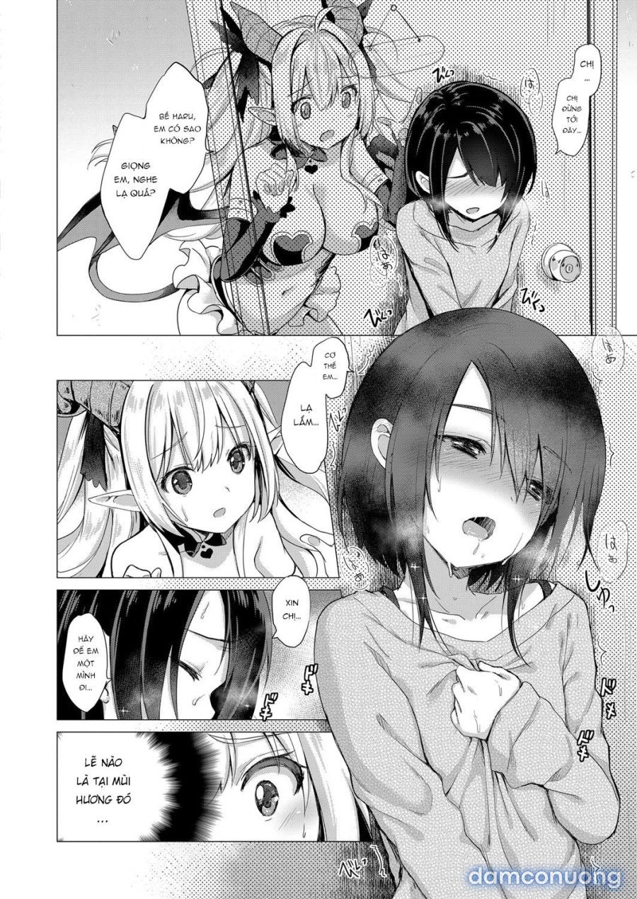 Công ty Succubus 