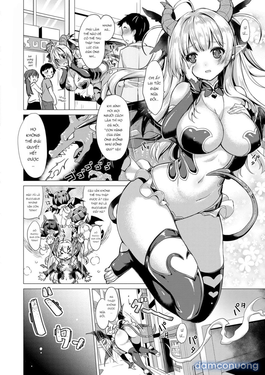 Công ty Succubus 