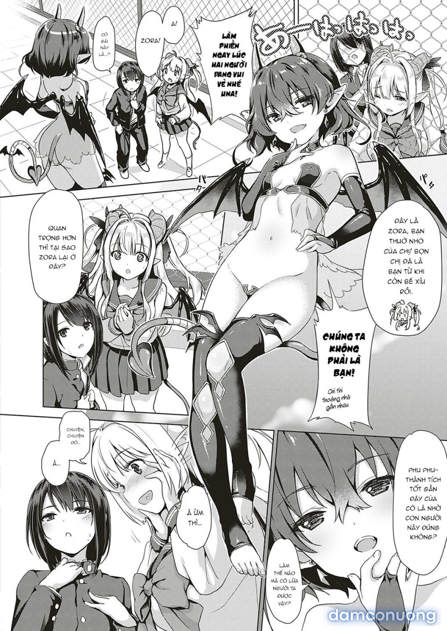 Công ty Succubus 