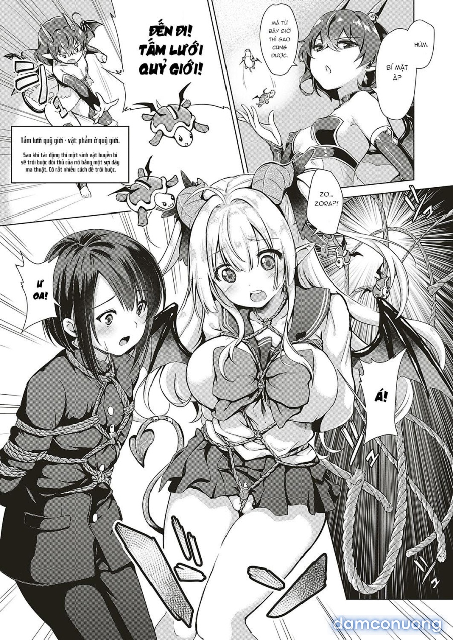 Công ty Succubus 