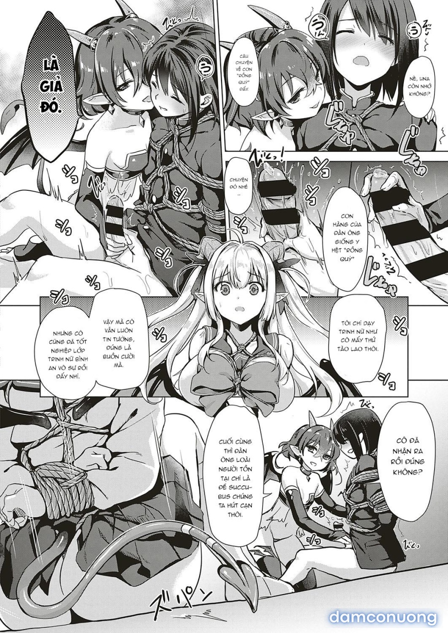 Công ty Succubus 