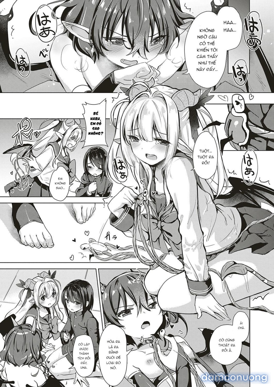 Công ty Succubus 
