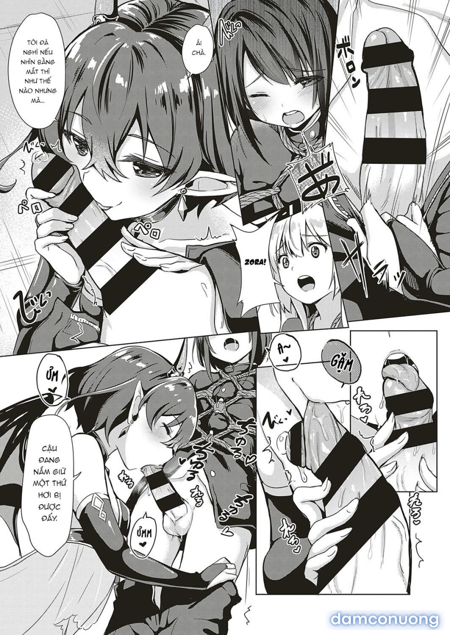 Công ty Succubus 