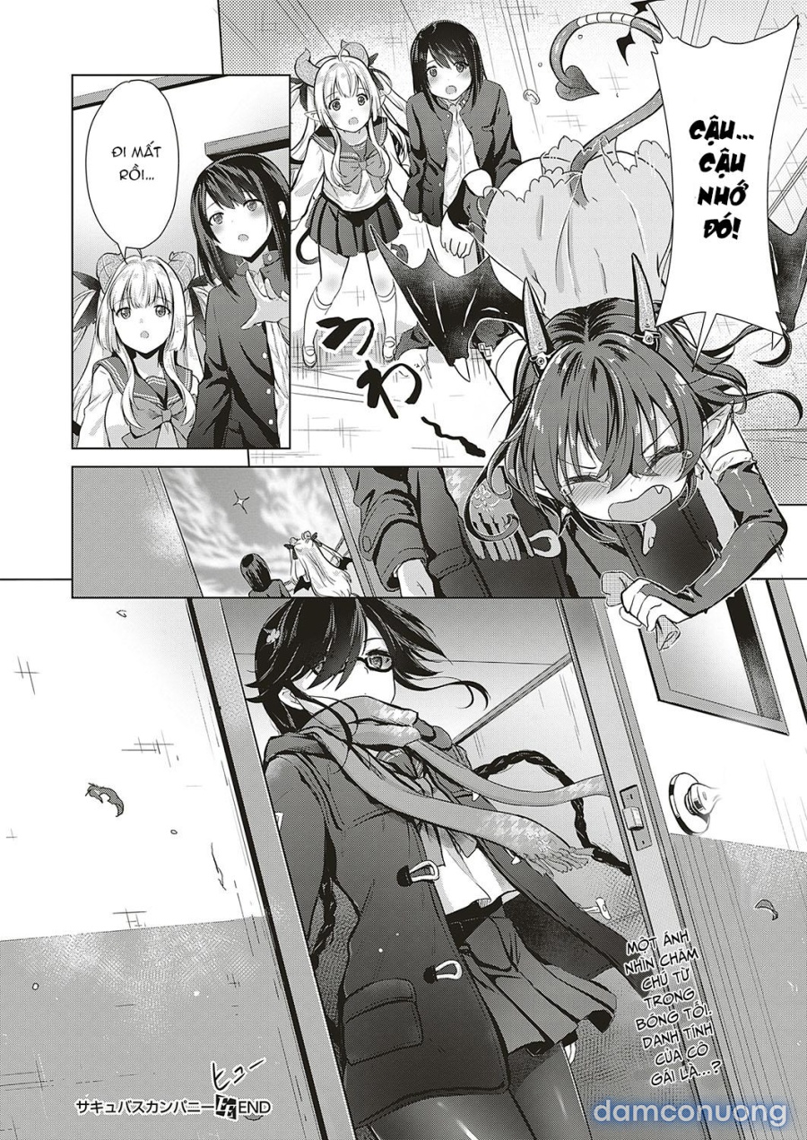 Công ty Succubus 