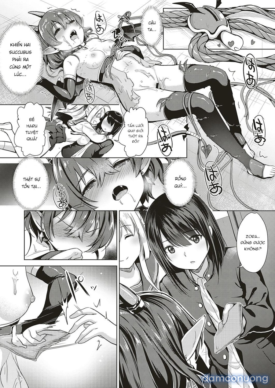 Công ty Succubus 