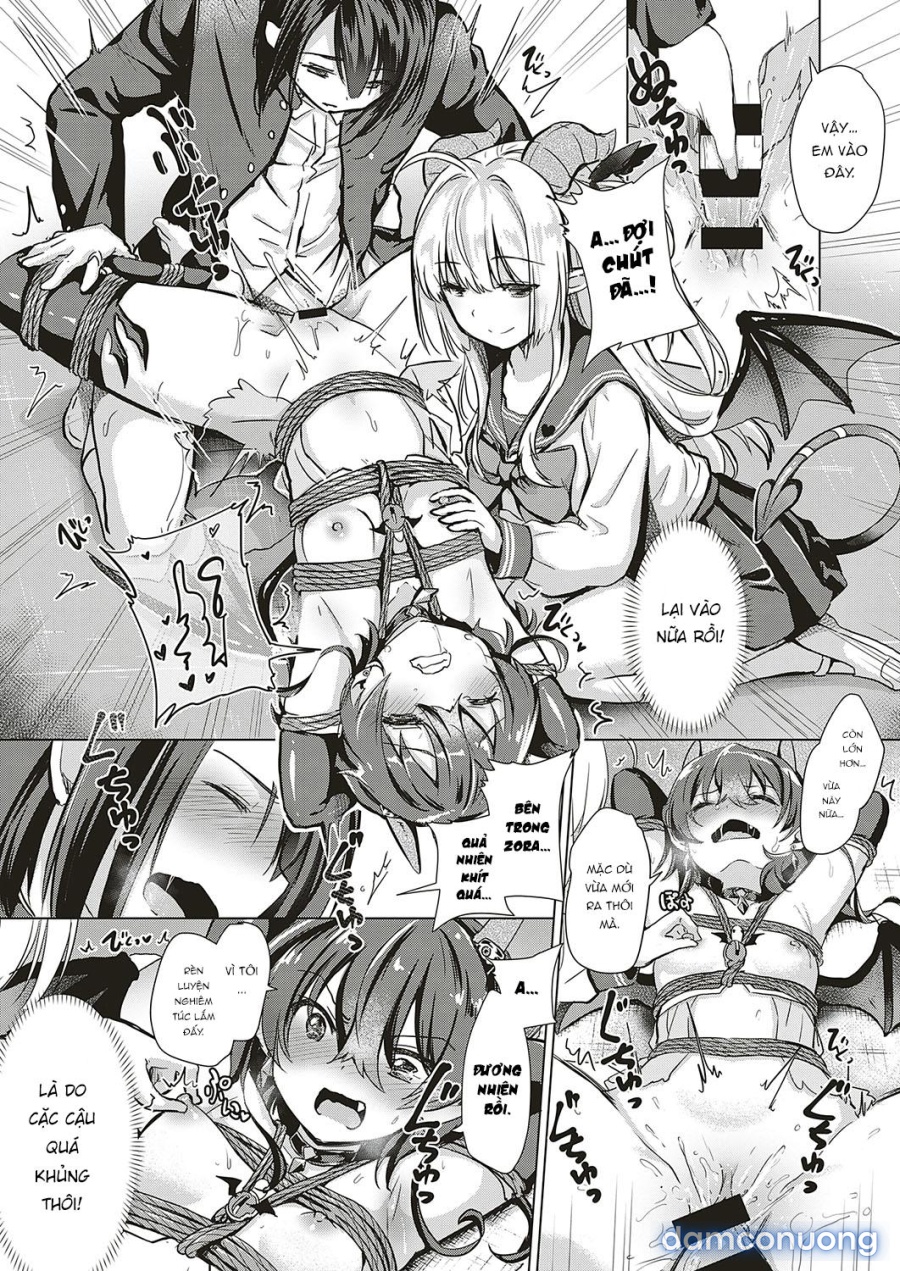 Công ty Succubus 