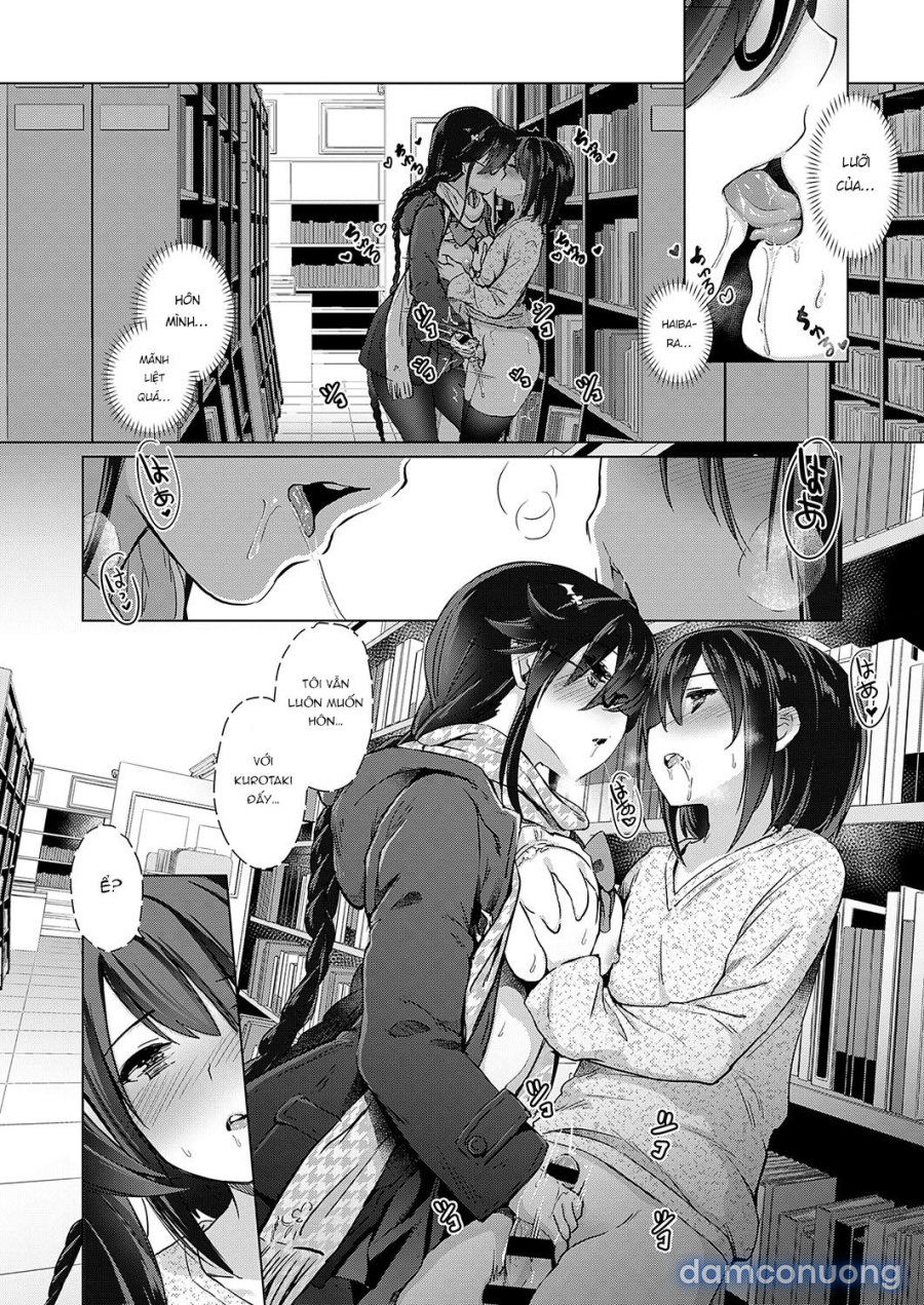 Công ty Succubus 