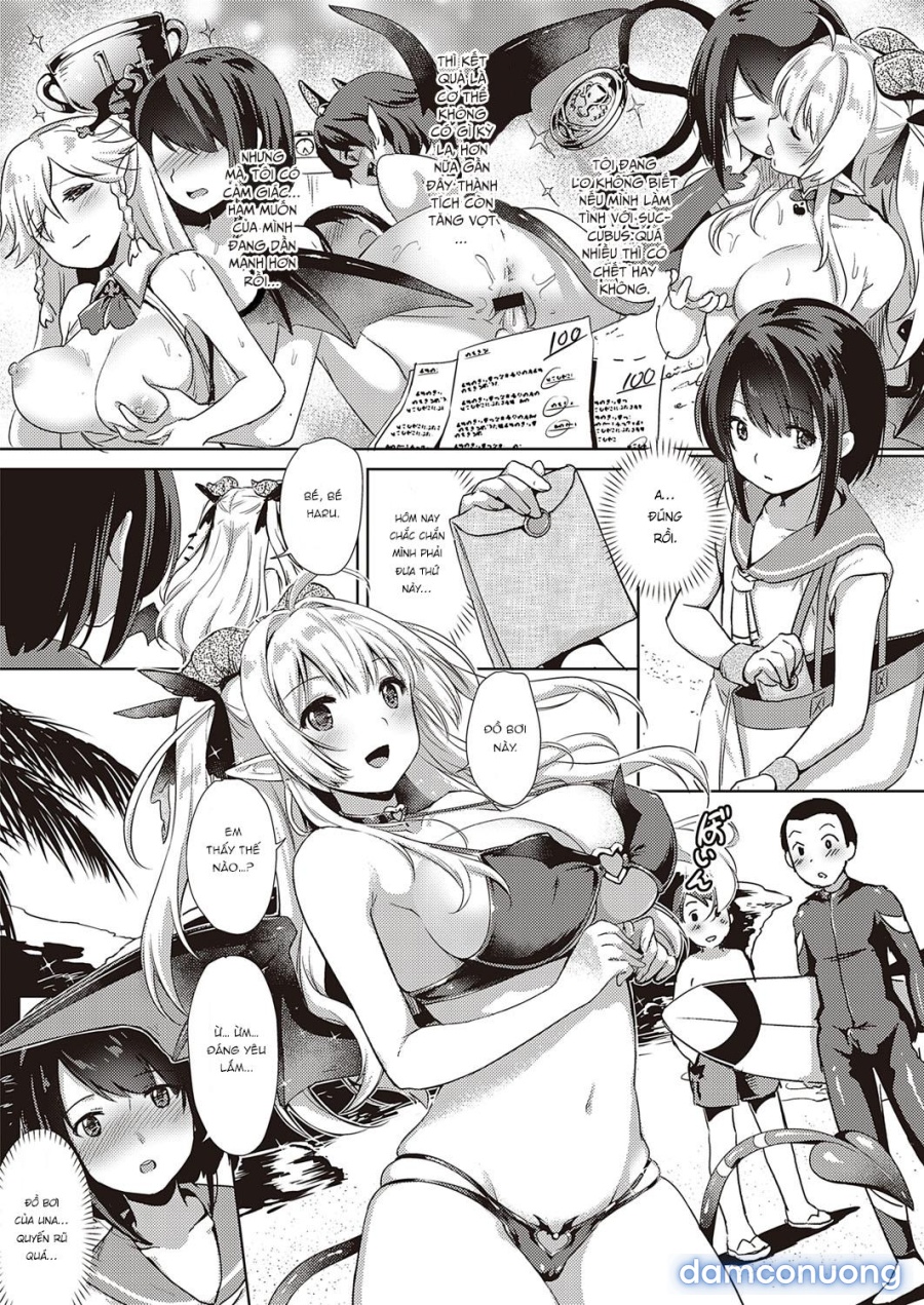 Công ty Succubus 