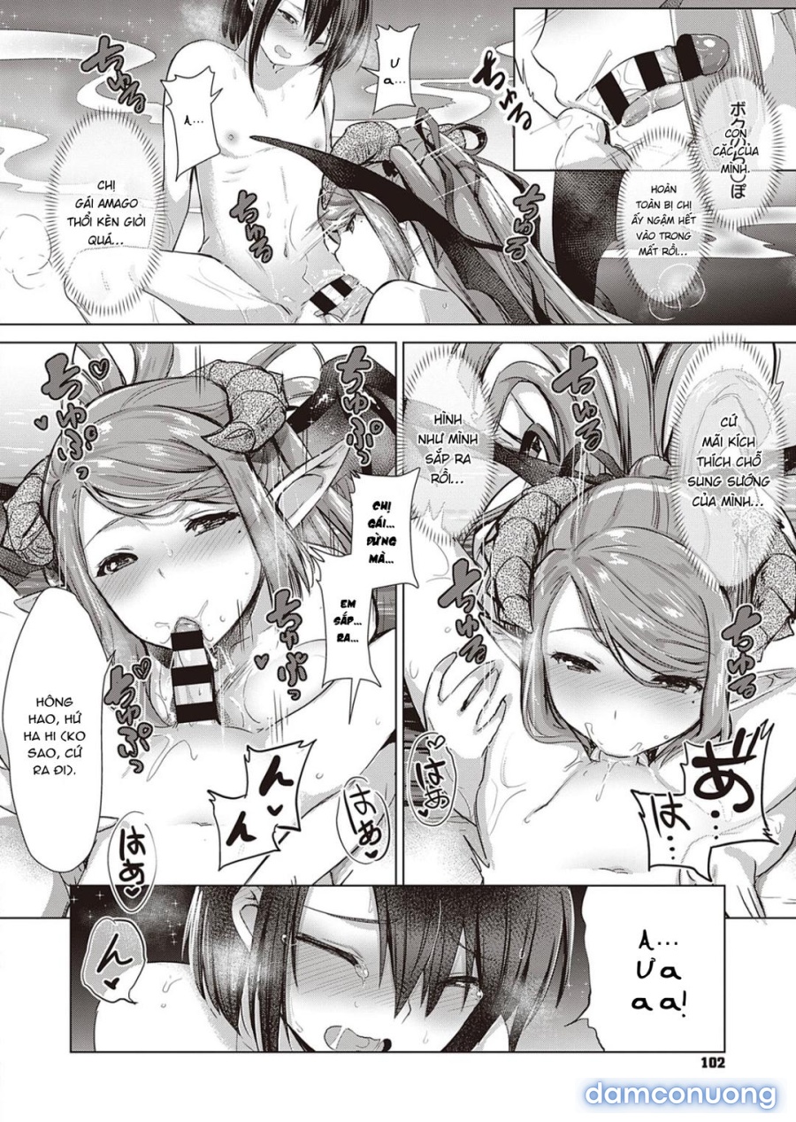 Công ty Succubus 