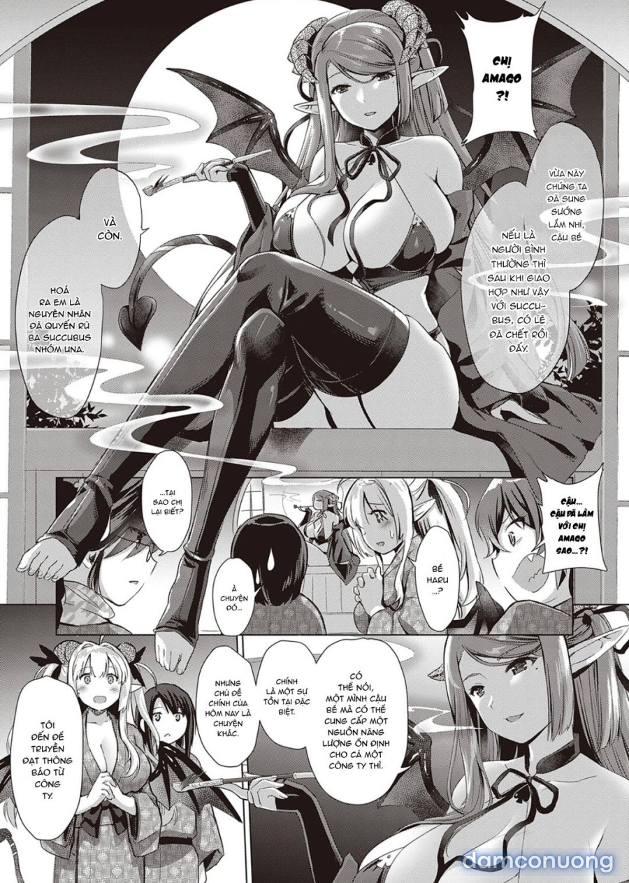 Công ty Succubus 