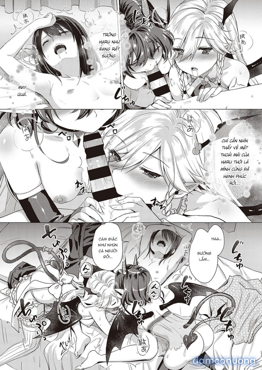 Công ty Succubus 