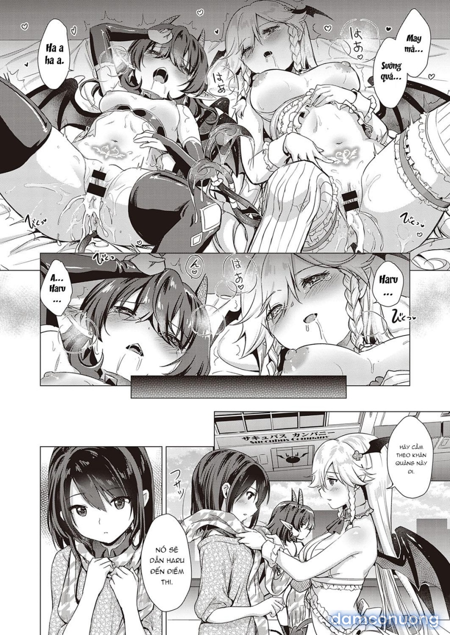 Công ty Succubus 