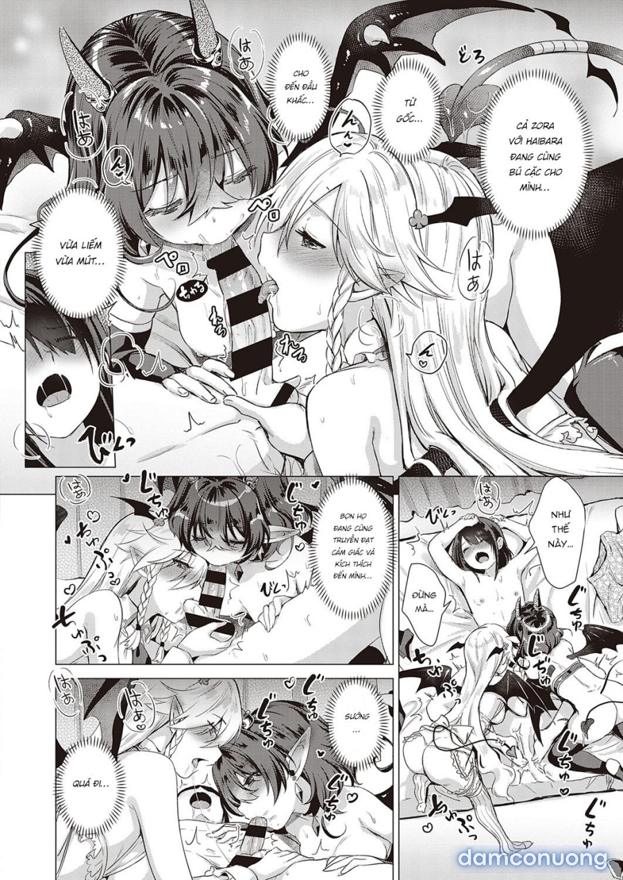 Công ty Succubus 