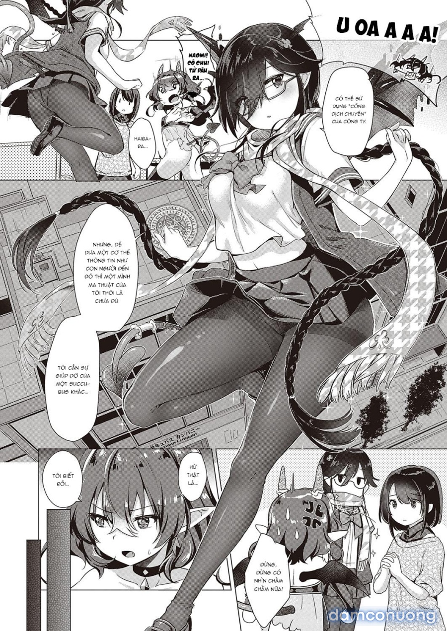 Công ty Succubus 