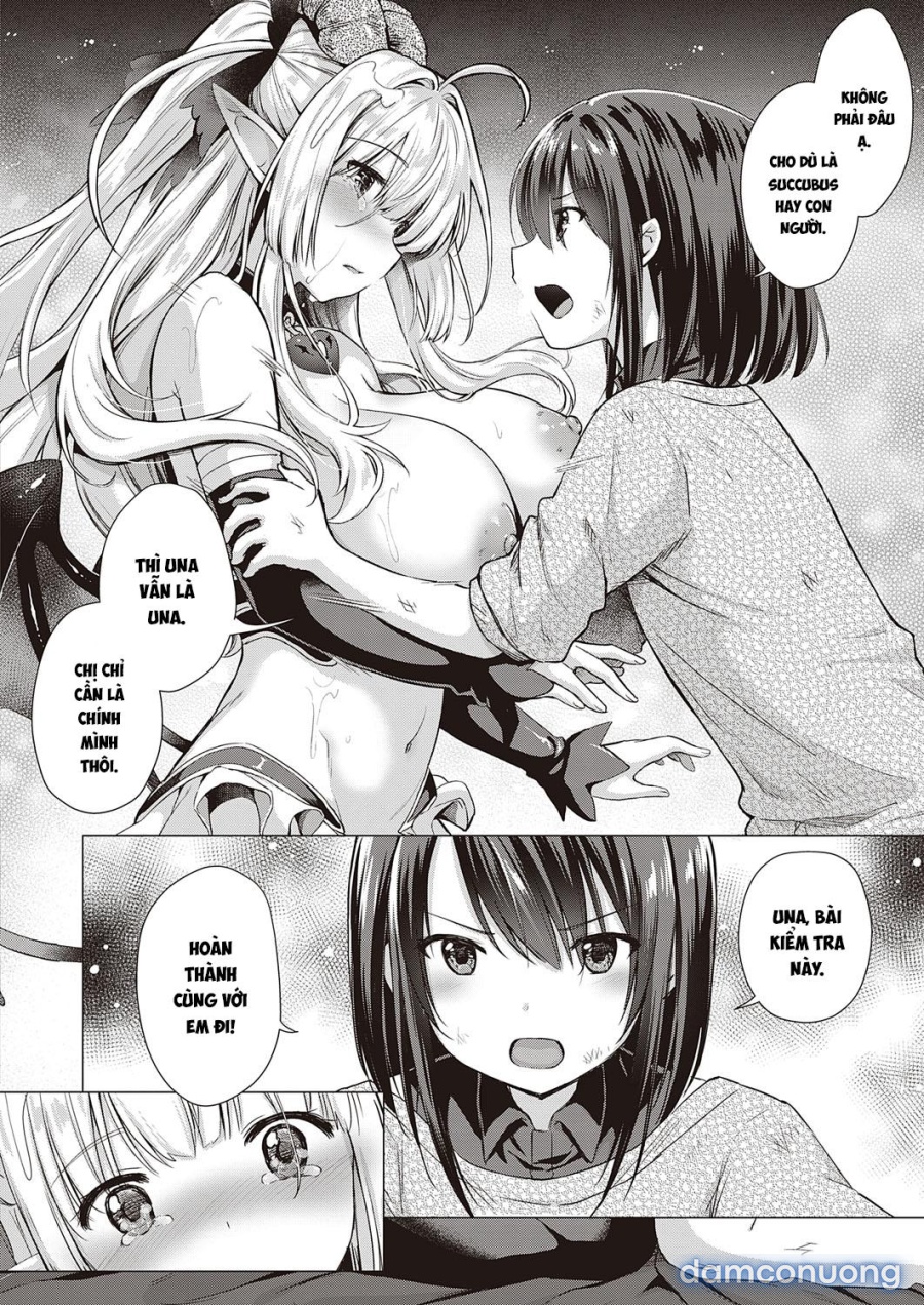 Công ty Succubus 