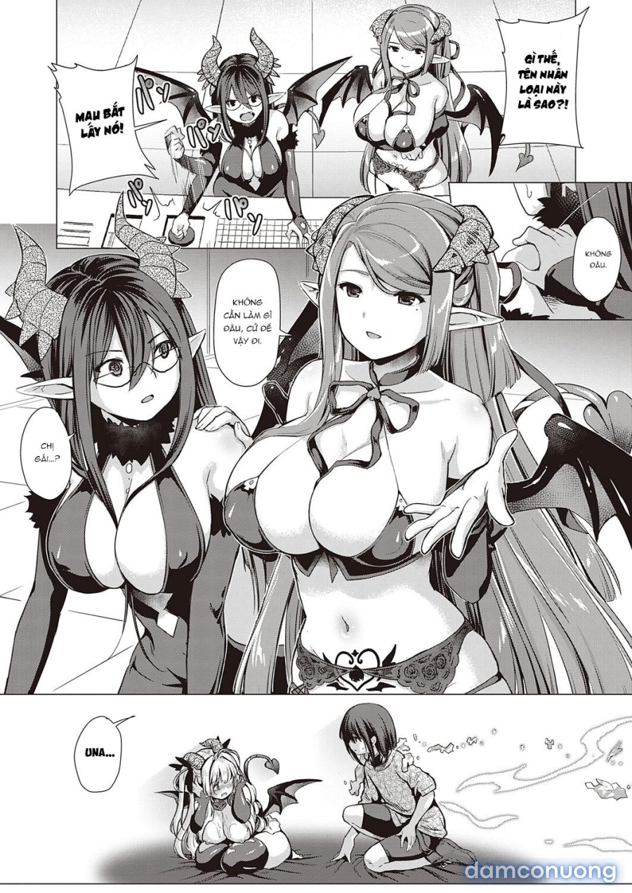 Công ty Succubus 