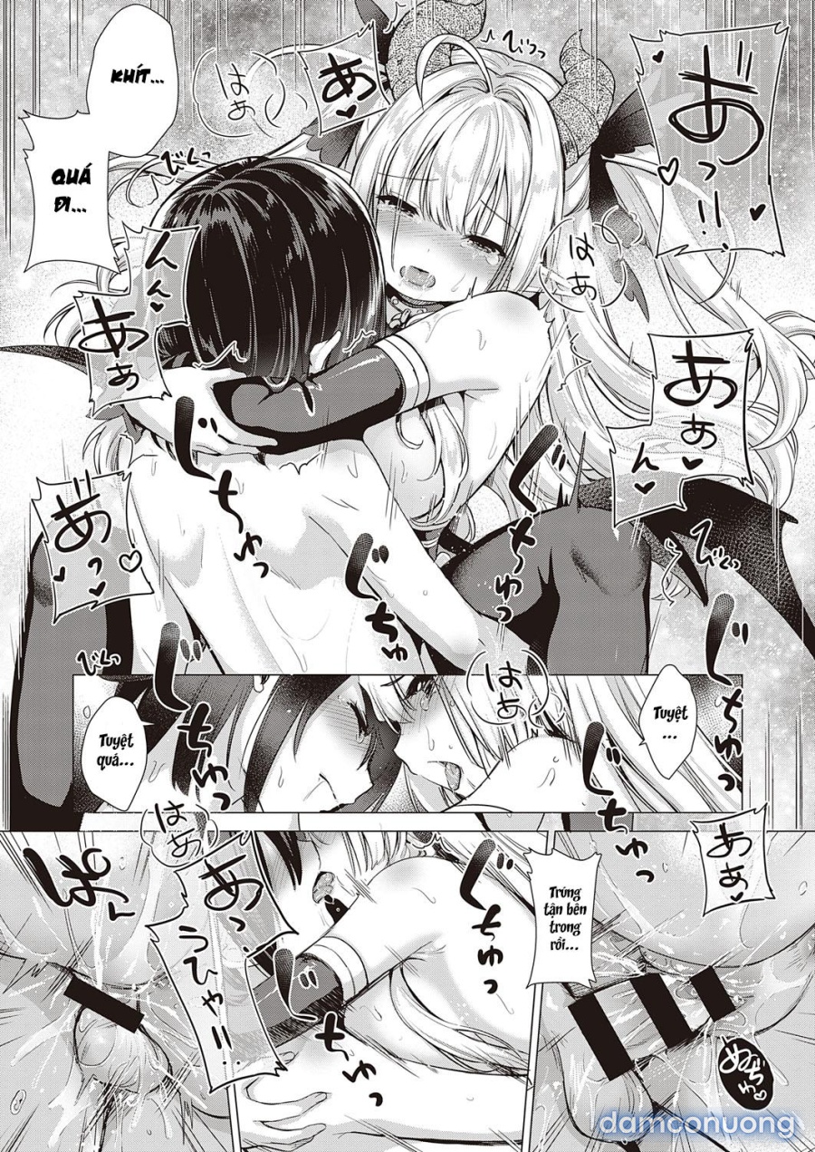 Công ty Succubus 