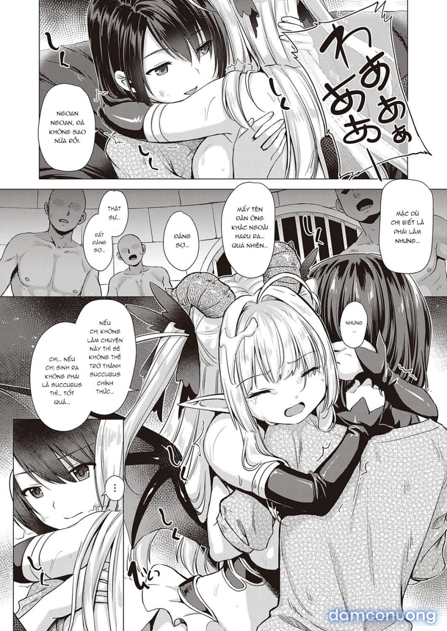 Công ty Succubus 