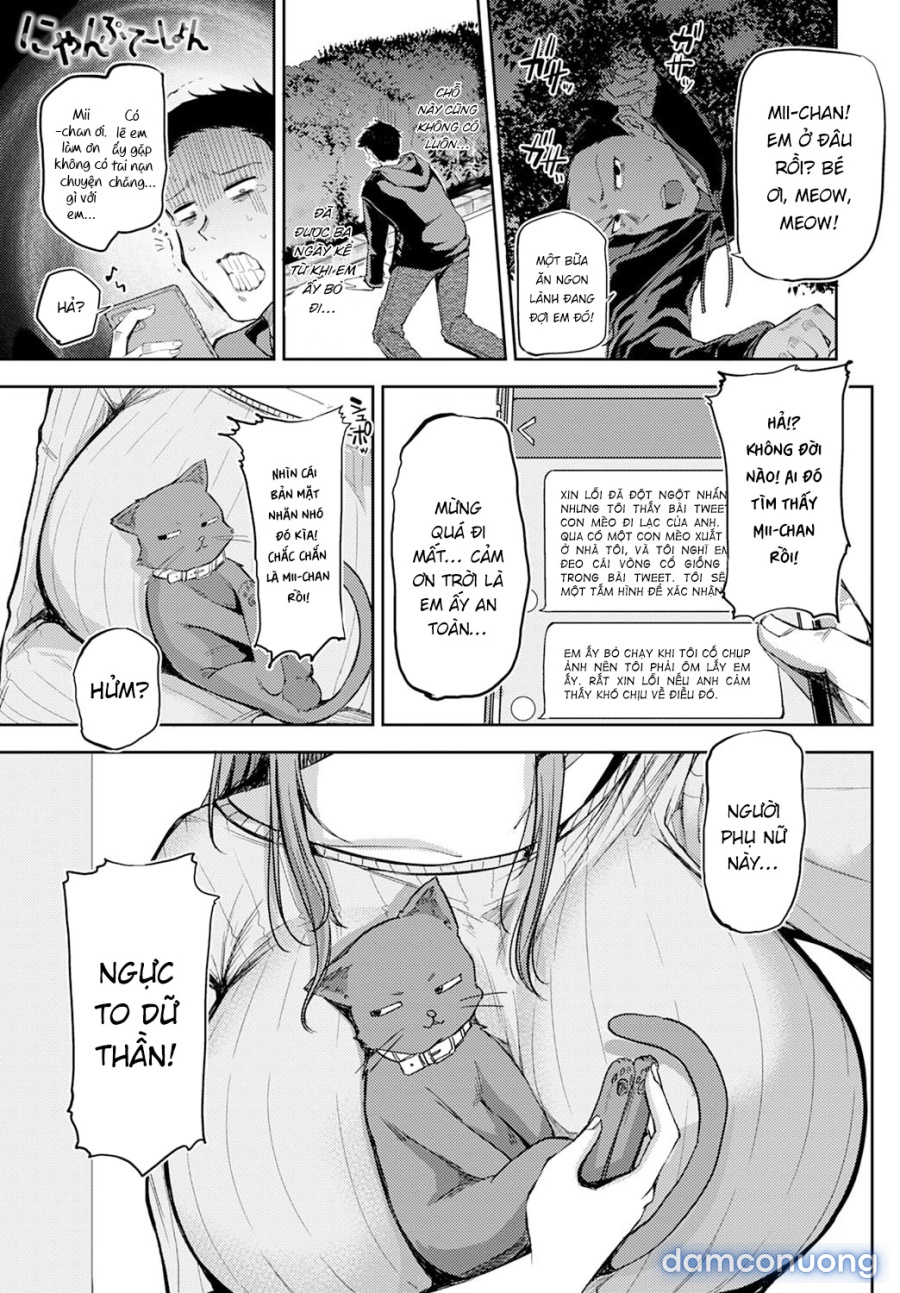 Nyanptation 