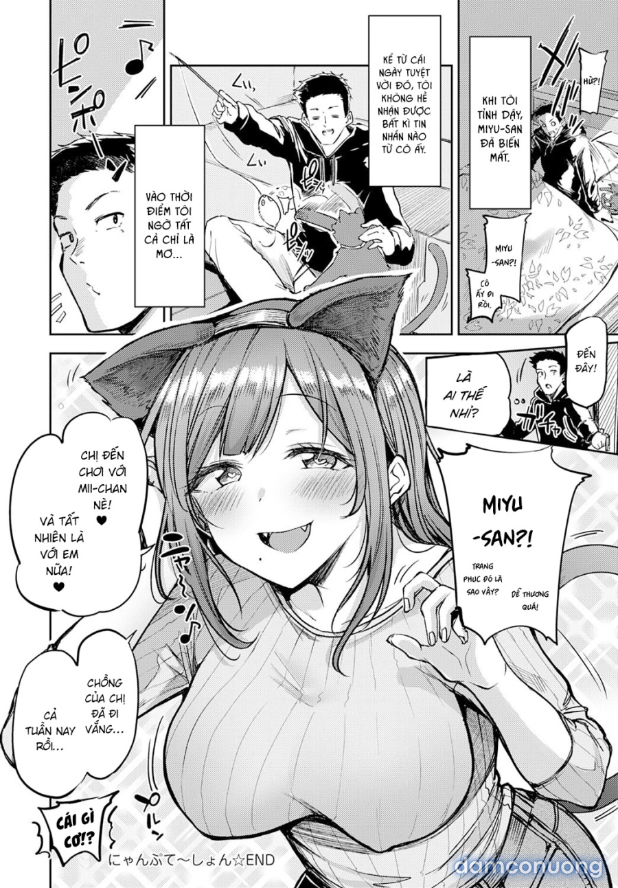 Nyanptation 