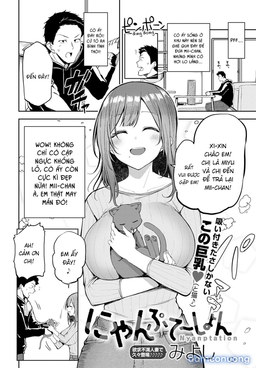 Nyanptation 