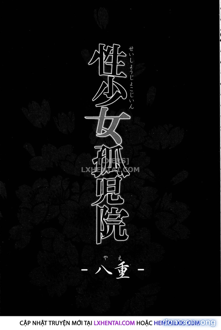Cô Gái Mồ Côi 