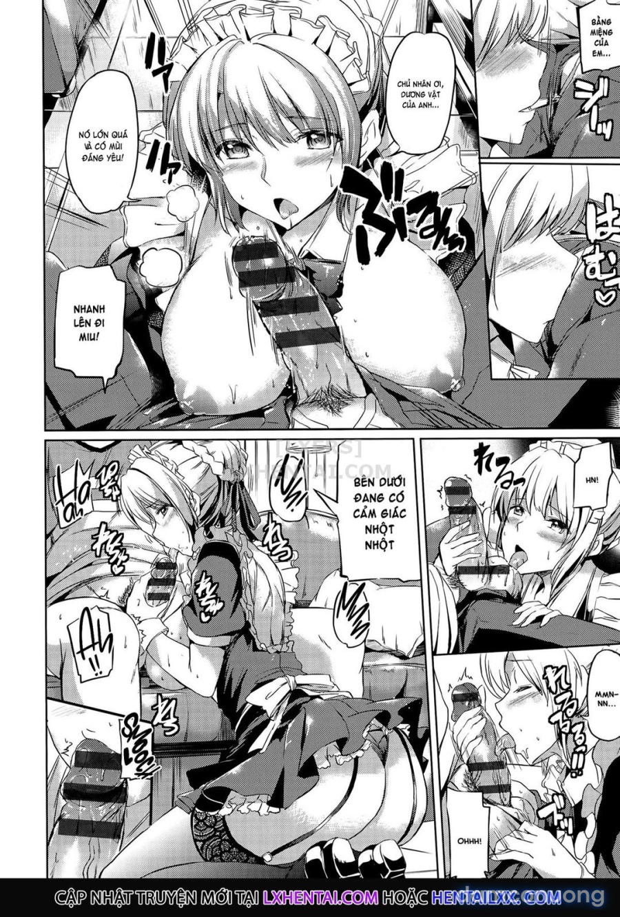 Ojousama no Maid Jijou 