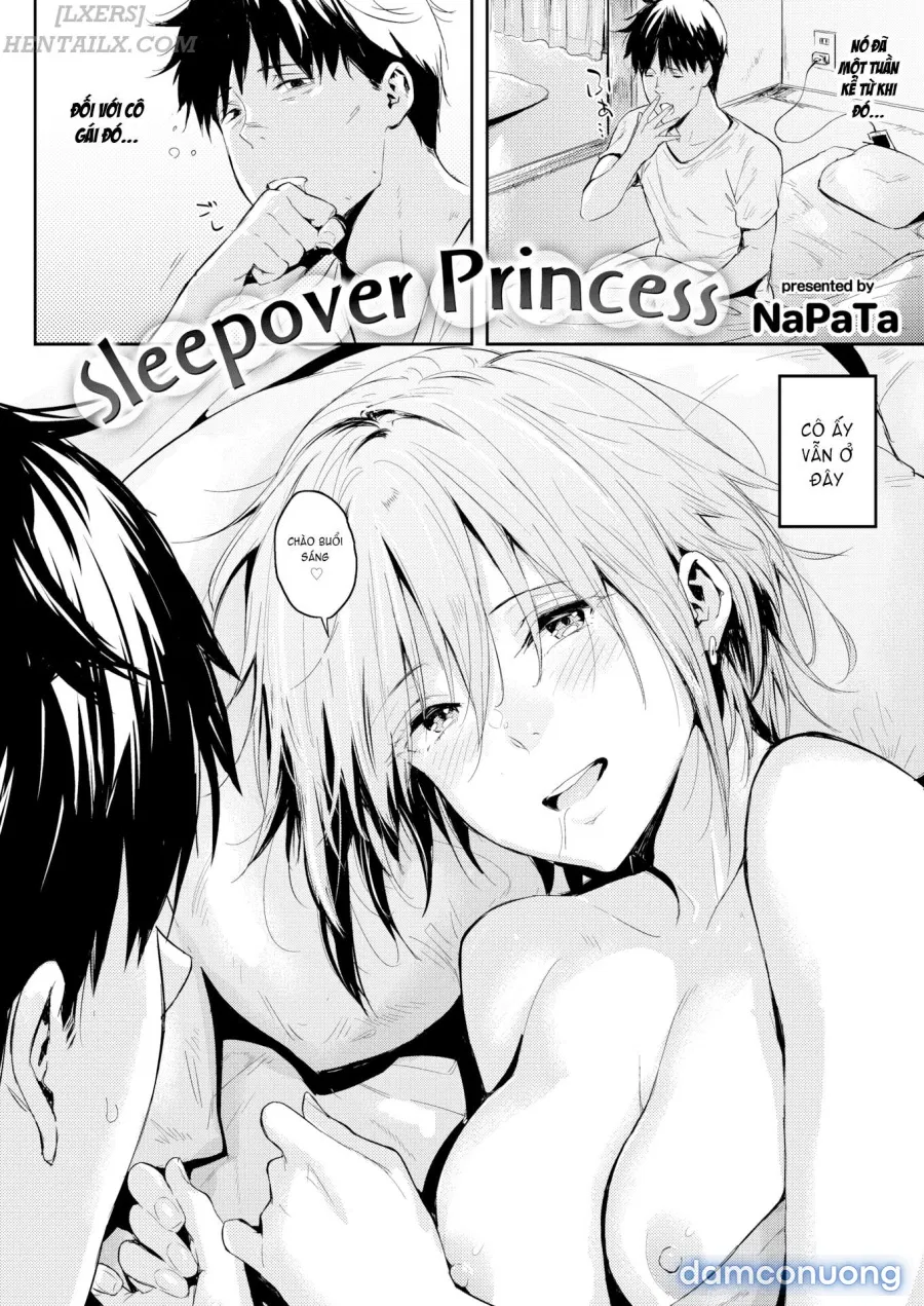 Sleepover Princess 