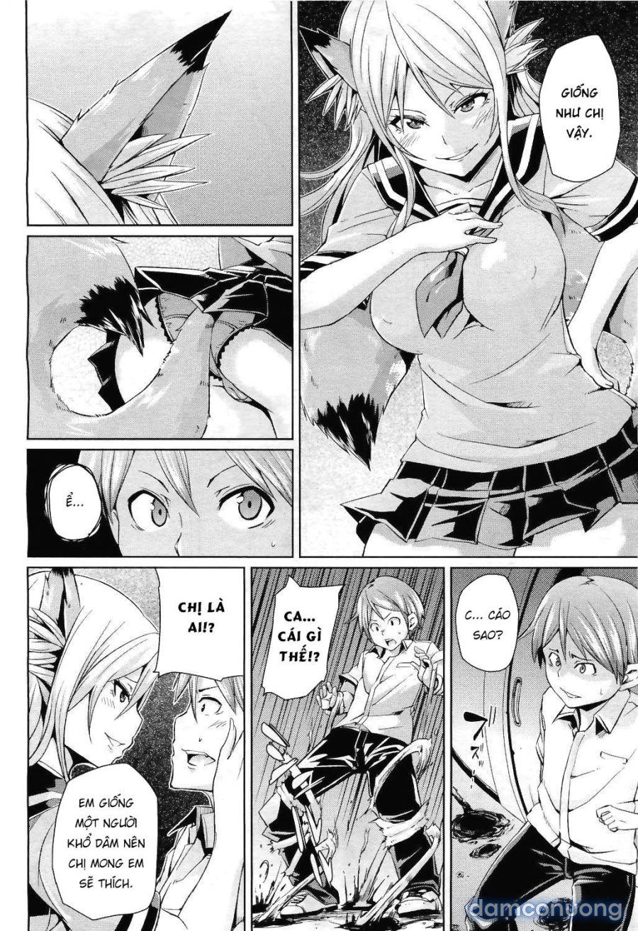 Kitsune no Sei Hikou 