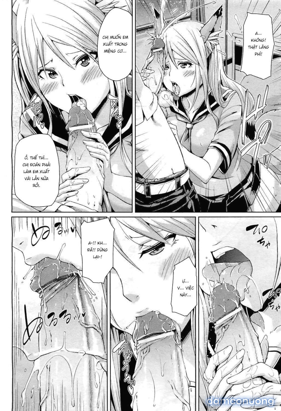 Kitsune no Sei Hikou 